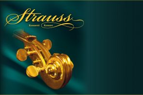 STRAUSS STRAUSS